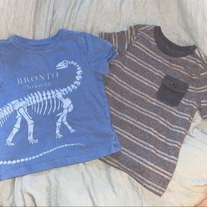 toddler boy shirt bundle